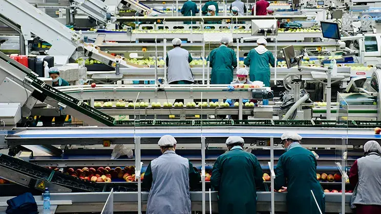 Η σημασία της διασφάλισης ποιότητας στις εταιρείες τροφίμων: Το κλειδί για επιτυχία και ανάπτυξη